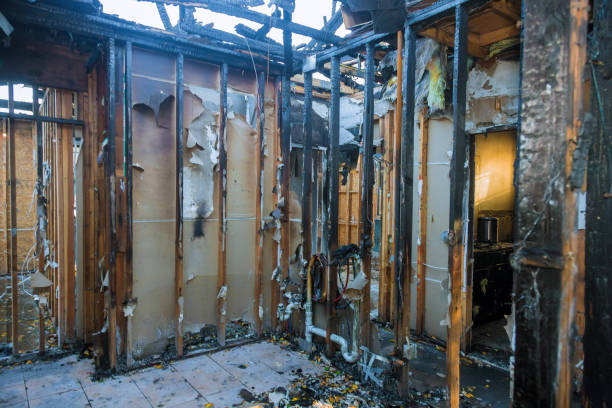 Professional Emergency Fire Cleanup technician working in Patton Village, TX